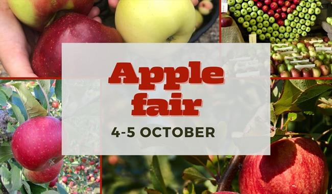 Apple Fair