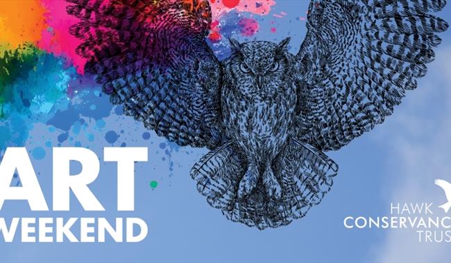 an owl drawing flying at the screen with a paint splash in the top left corner