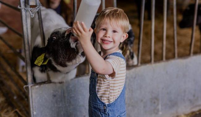 Longdown Activity Farm