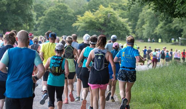 Runners at Ashdown Forest 10 & 5 Mile