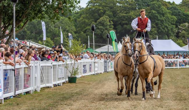 The New Forest and Hampshire County Show