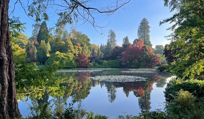 Sheffield Park National Trust - view of the lake and autumnal coloured trees