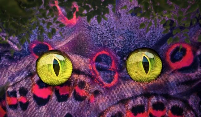 A pair of yellow eyes, against a purple pattern, with trees and leaves around the edges.