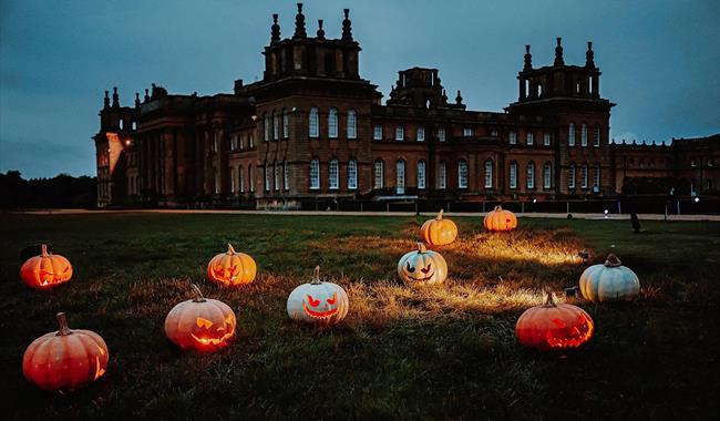 Halloween at Blenheim Palace, Blenheim Palace, Light Trail; Illuminated trail