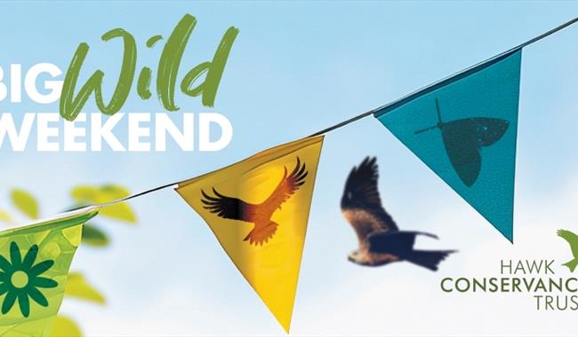 Bunting across the screen with a red kite flying behind in a blue sky