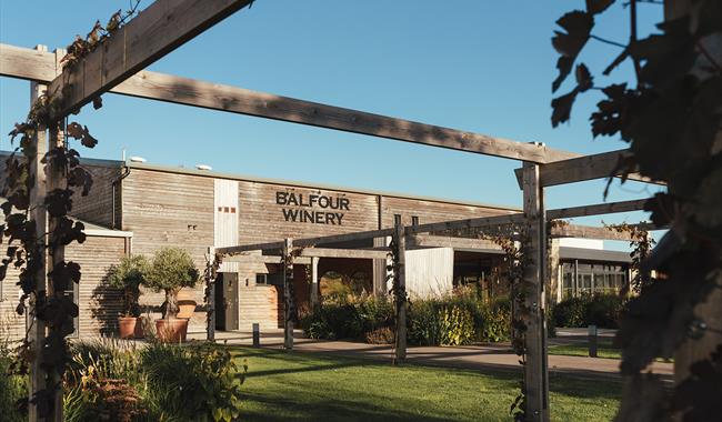 Paint and Sip Workshop at Balfour Winery, Kent