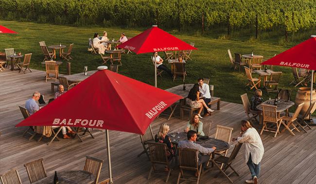 Balfour Winery