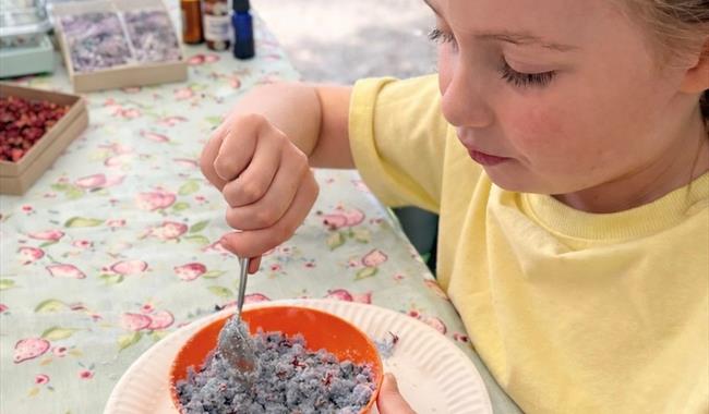 Bath Bomb Workshop
