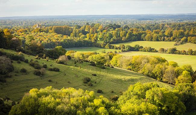 Beacon Hill Country Park Visitor Information Times and Maps