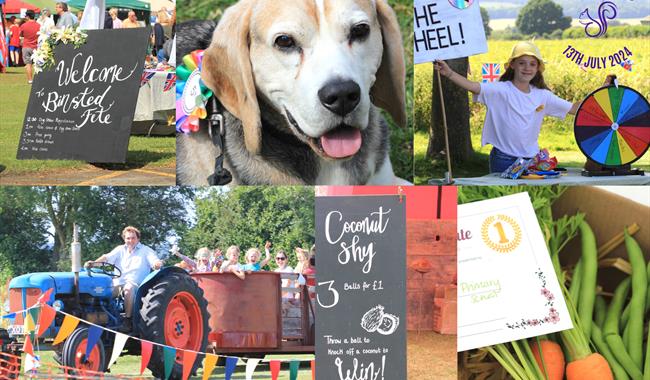 Activities at the Binsted Fete