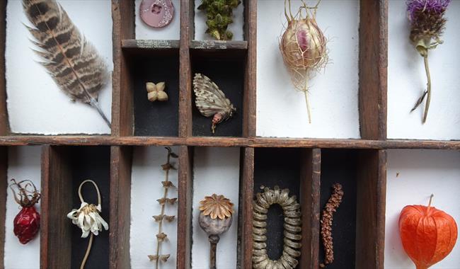 Biophilia