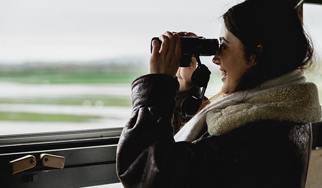 Person with Binoculars looks out from a wildlife hide