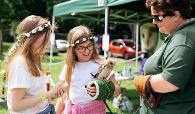 Summer of Play at Waddesdon Manor, Buckinghamshire, Six weeks of child-friendly summer activities