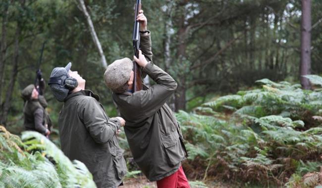 Bisley Shooting Ground