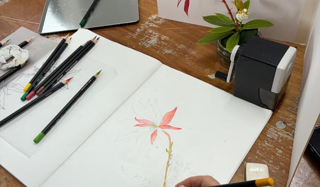 Botanical Illustration Workshop