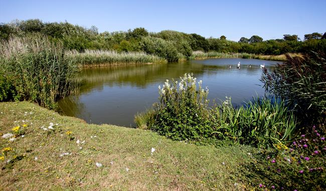 Brookfield Park, Rustington with lake