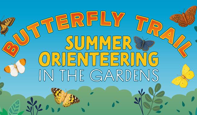 Summer Butterfly Trail at Waterperry Gardens