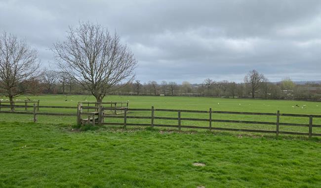 Merrist Wood