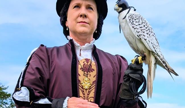 Lady in tudor dress holding a falcon