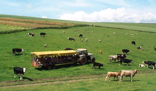 Coombes Farm Tours