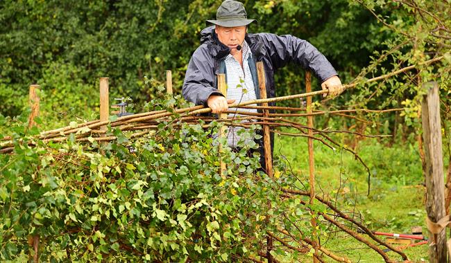 Countryside skills on display at the 2024 CPRE Sussex Countryside Day