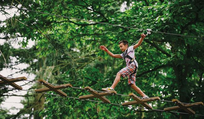 Go Ape At Bedgebury Adventure Park Playground In Cranbrook Kent Visit South East England