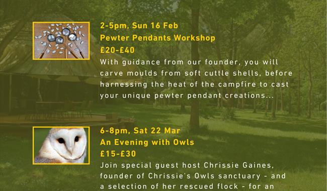 An Evening with Owls