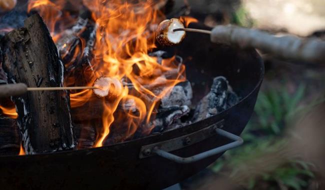 Campfire Heritage Stories at COAM
