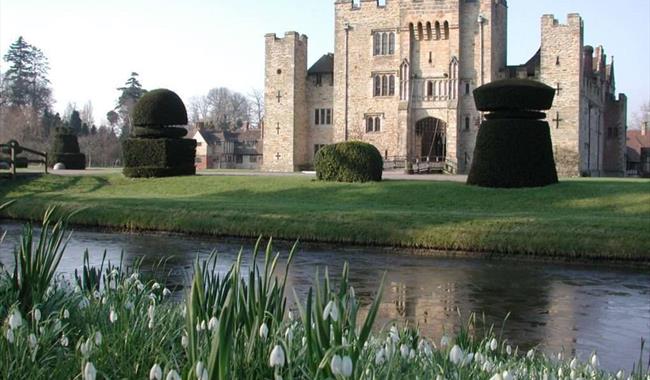 Snowdrops at Hever Castle