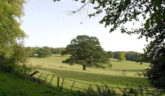 The Chiltern Hills at Great Missenden