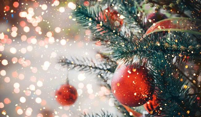 Christmas Tree Festival at Brighstone Isle of Wight
