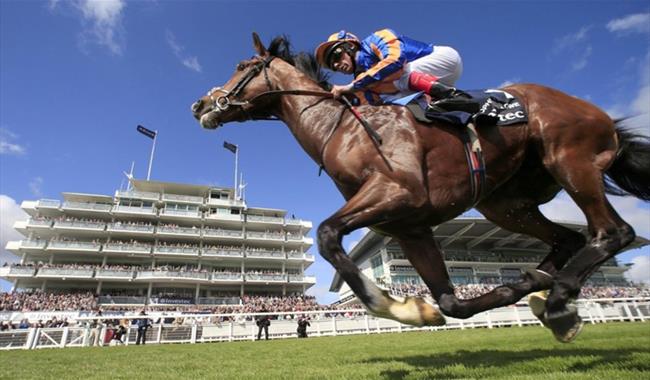 Epsom Downs Racecourse