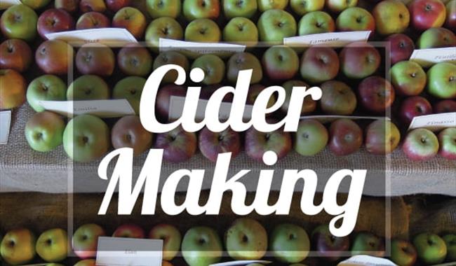 Cider Making