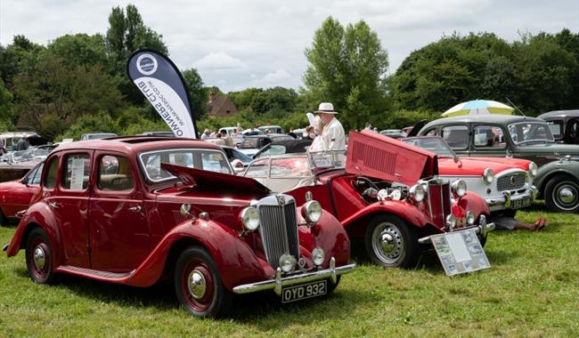lined up red vintage cars