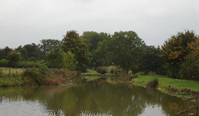 College Farm Fishing