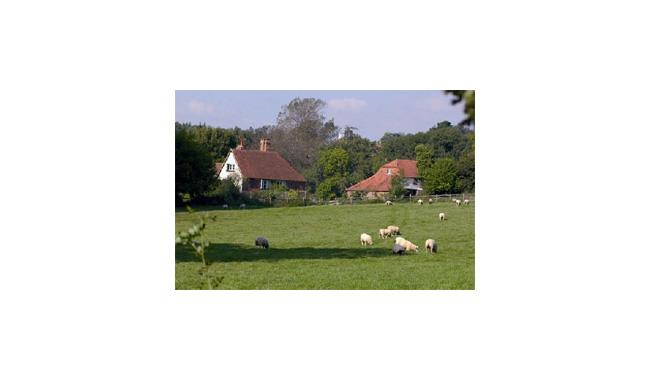 Coopers Farm Cottage