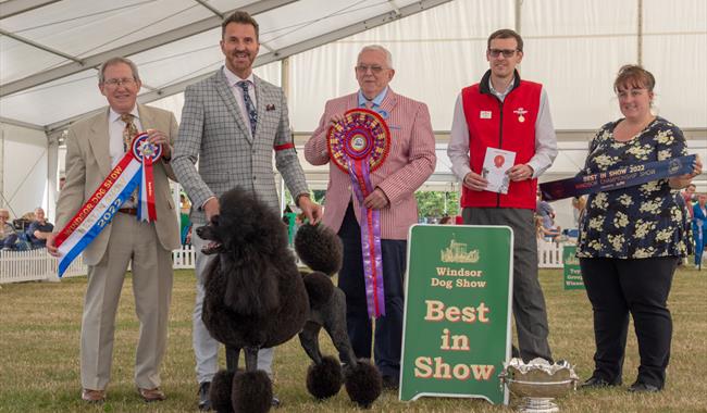 Windsor Championship Dog Show Best in Show. Image courtesy ShowdogMedia: www.showdogmedia.co.uk