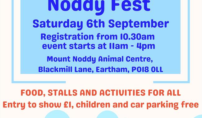 Noddy fest flyer