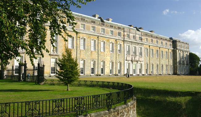 Petworth House & Park