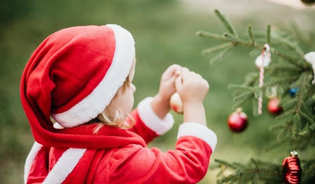 A Family Christmas at Borde Hill, West Sussex - Kids Trail & Santa's Grotto