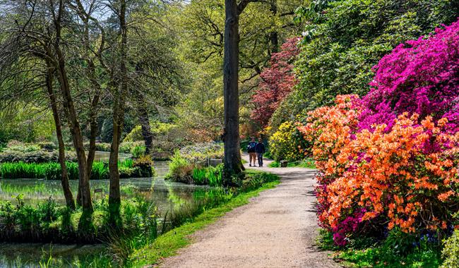 Leonardslee Gardens