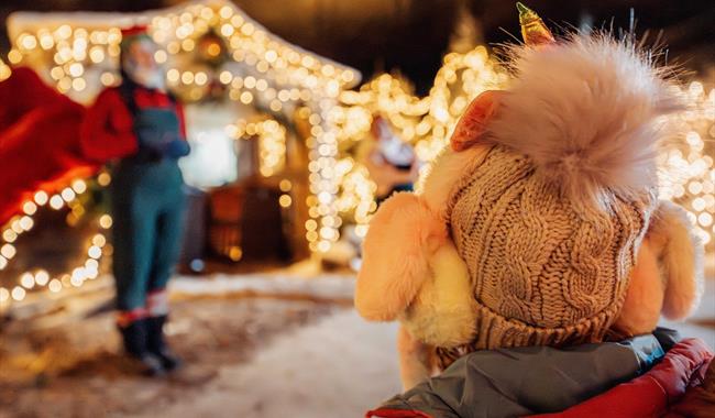back of someones head wearing a woolly hat, with a christmas show going on in the background which is blurred