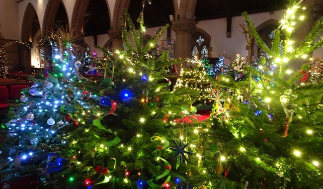 St Luke’s Christmas Tree Festival