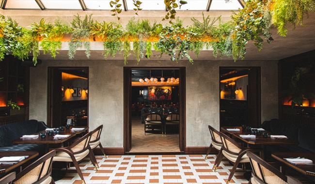 Bright, light seating area with foliage around the edge.