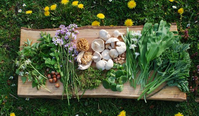 Foraged Feast