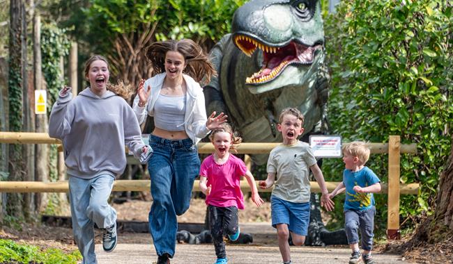 Dinosaur at Birdworld