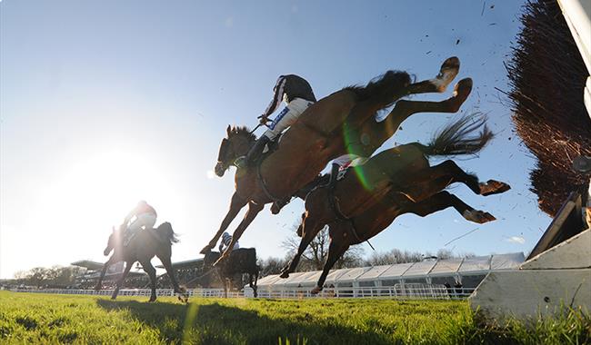 Winter Raceday at Plumpton Racecourse