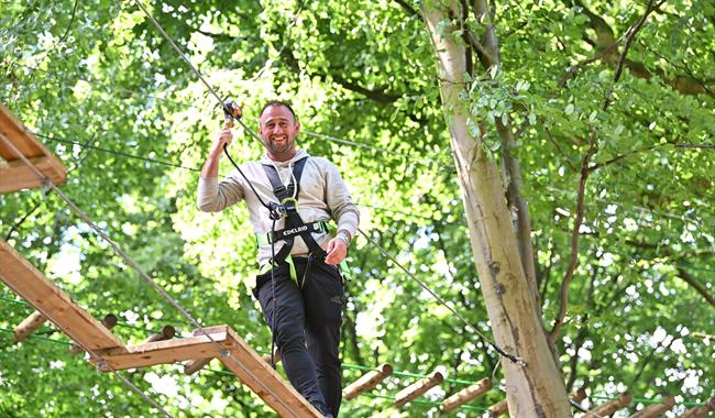 A Dad at Go Ape