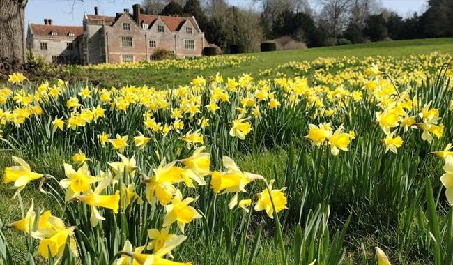 Easter at Chawton House