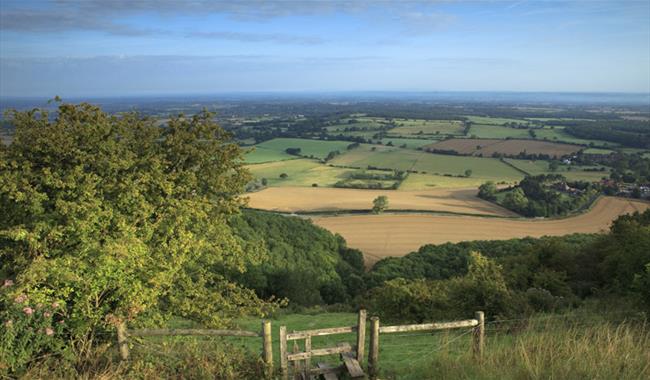 Devil's Dyke, South Downs, credit National Trust Images, John Miller